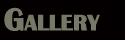 Photo Gallery