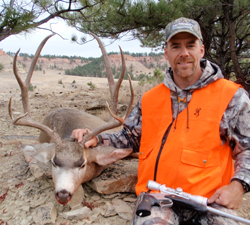 mule deer