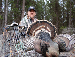 Montana Turkey