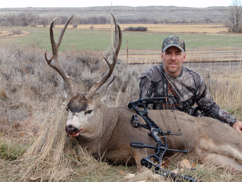 Jim Mule Deer Buck 2009